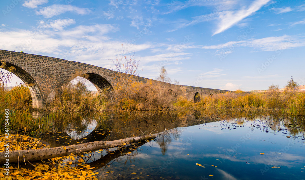 Fototapeta premium diyarbakir autumn views from the turkey. View of the historic
