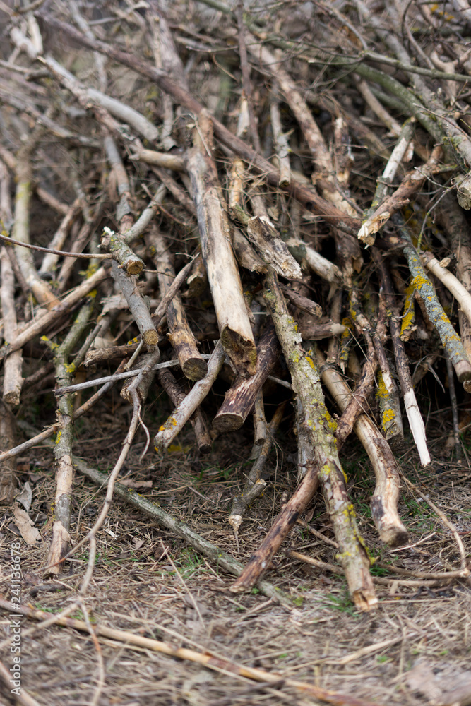 image of stacked logpile and wood image of stacked logpile and wood