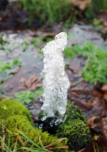 fresh spring water that gushes from the ground from a spring