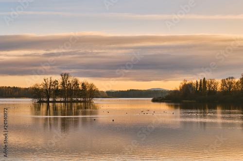 Opatovicky rybnik in Trebon