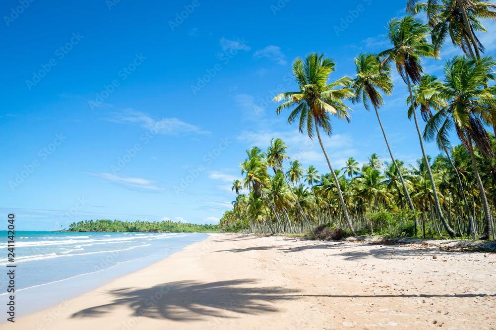 Obraz premium Desert island beach with shadows of palm trees on a long, empty shore in Bahia, Brazil