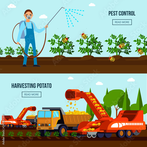 Potato Cultivation Flat Compositions