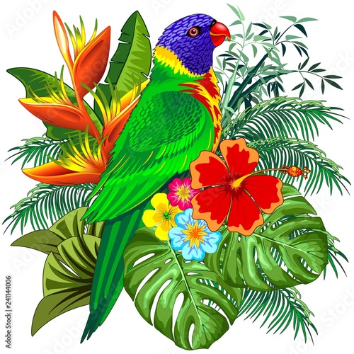 Rainbow Lorikeet Exotic Colorful Parrot Bird Vector Illustration © BluedarkArt