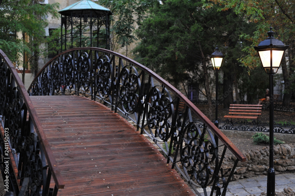 Obraz premium Cityscape. Bridge in the park
