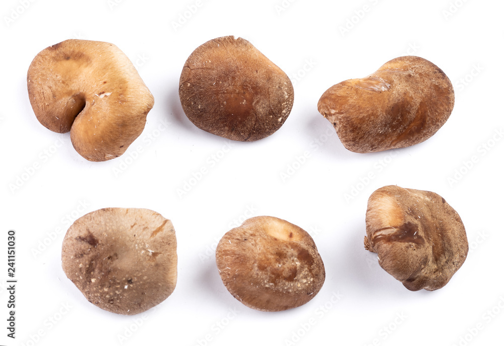 Set of shiitake mushrooms Set of shiitake mushrooms