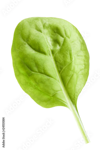 One fresh spinach