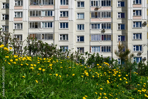 Grass and dandelions in front of a multi-storey building. Russia