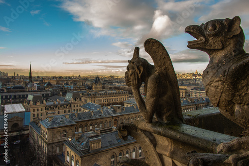 Paris panorama gargouiile