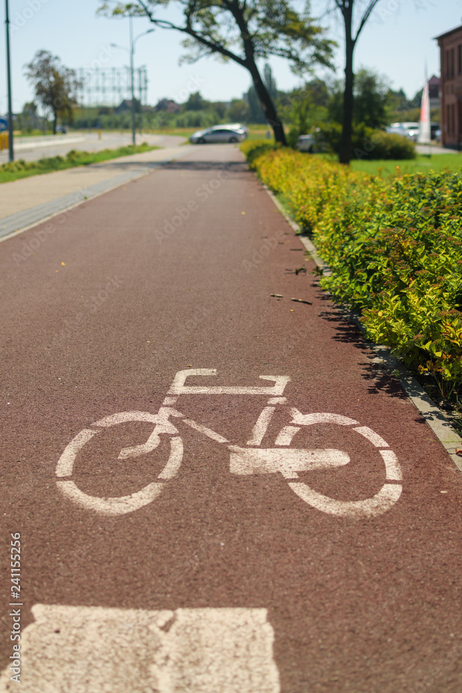 Obraz premium Pavement with painted bicycle sign on designated bicycle path