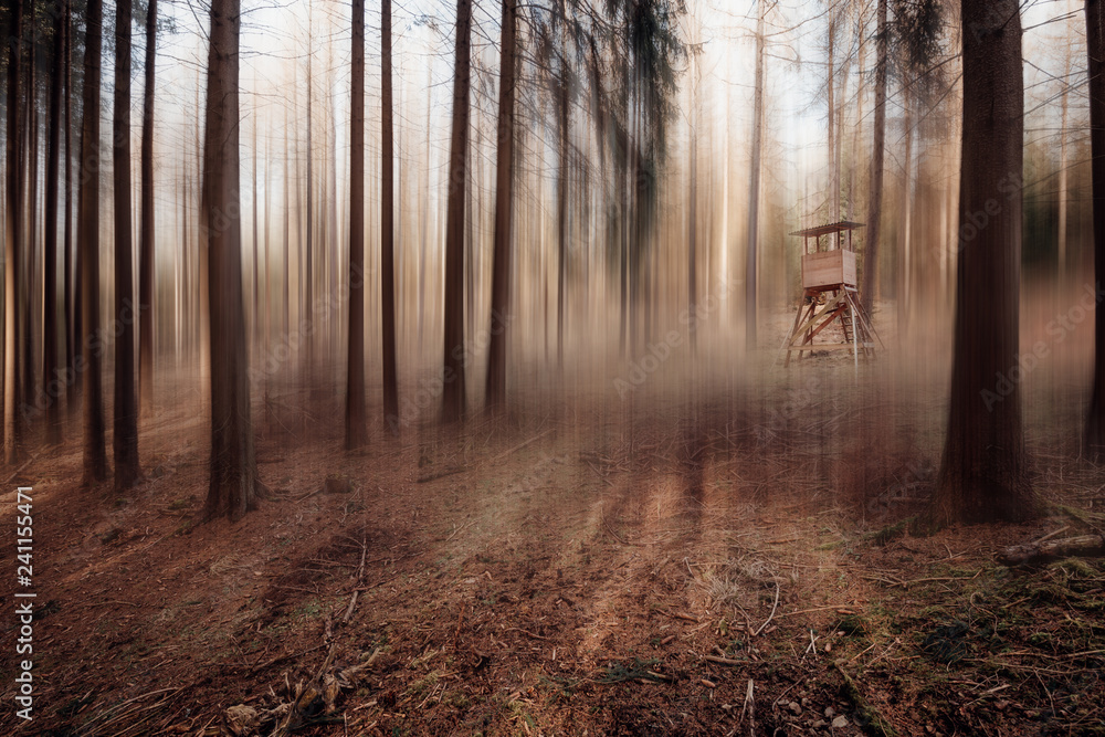 Surreale Wald Landschaft mit Unschärfe und Jäger Ansitz Surreale Wald Landschaft mit Unschärfe und Jäger Ansitz