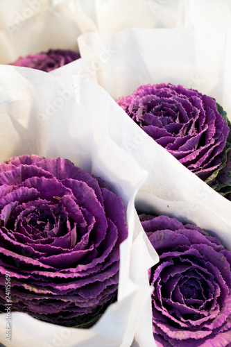 Wallpaper Mural Beautiful flowers with blurred background Torontodigital.ca