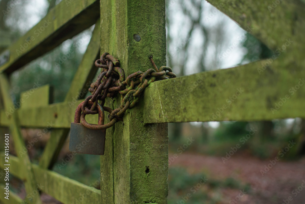 Rusty padlock with chain on wooden, mossy gate
