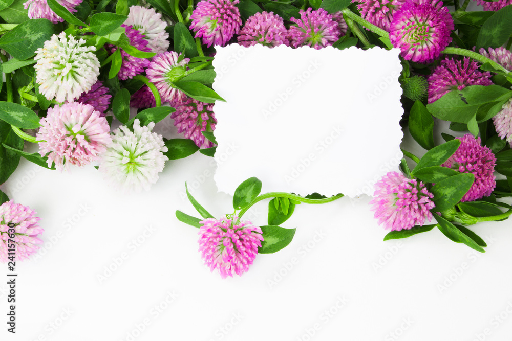 Clover flowers with paper postcard on white background Clover flowers with paper postcard on white background