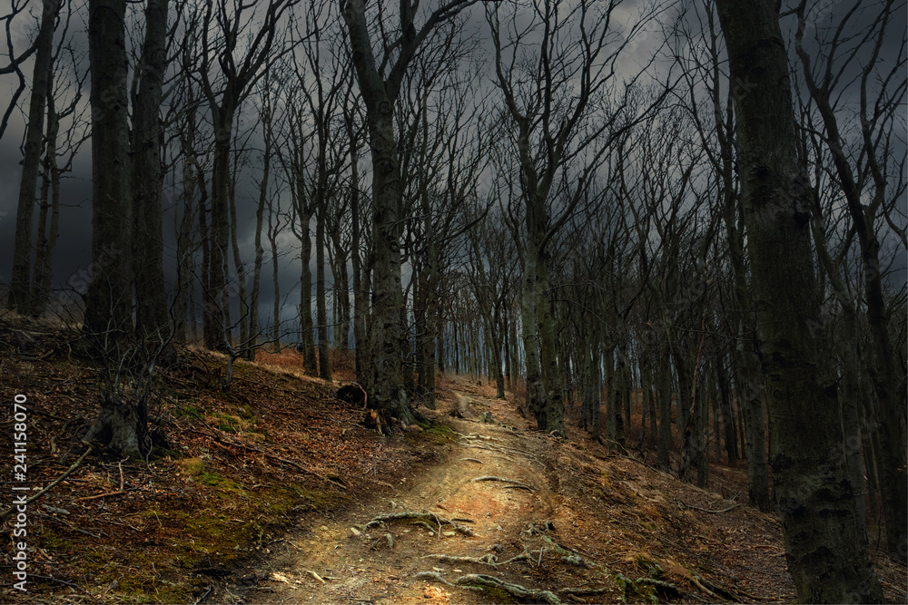 Der Weg Der Weg