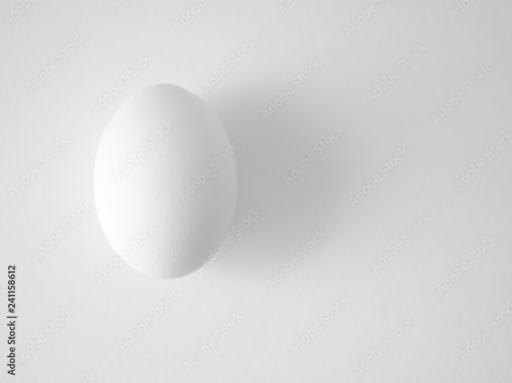 White chicken egg on white background White chicken egg on white background