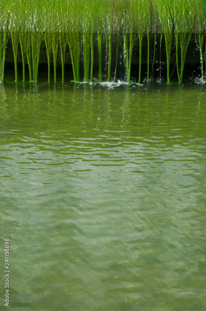 Fototapeta premium Brunnen