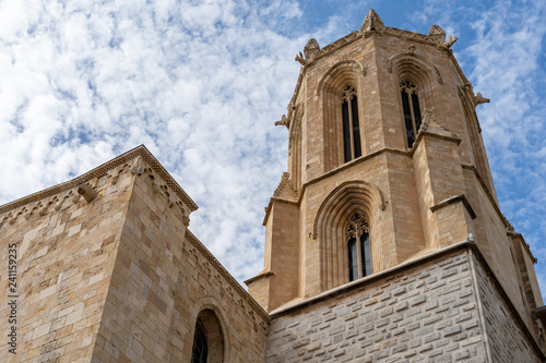 Obraz na płótnie Details of the cathedral of Tarragona, Catalonia, Spain w salonie