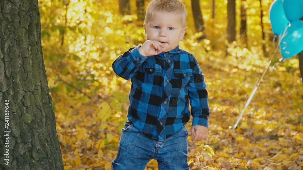 little boy in the autumn forest little boy in the autumn forest