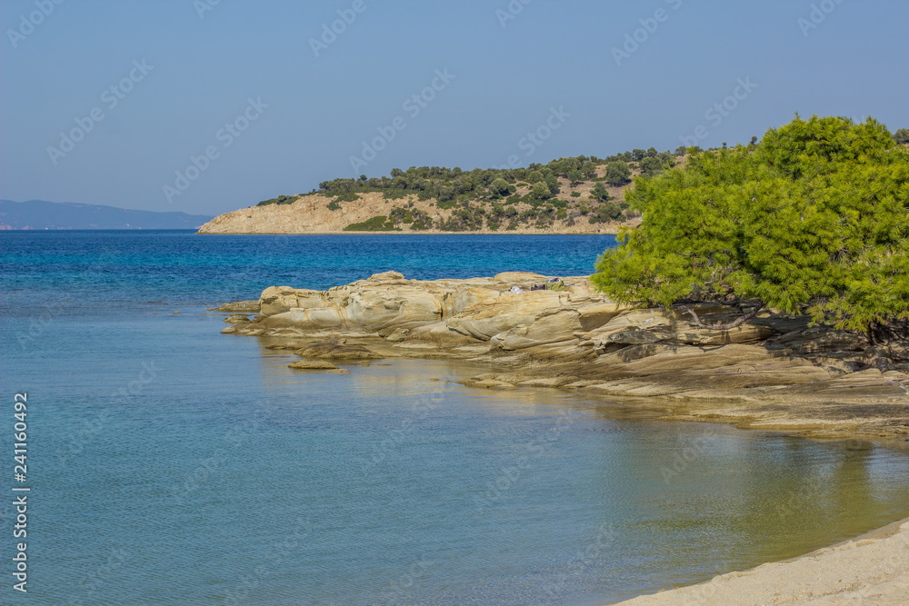 exotic tropic island picturesque Mediterranean sea scenic landscape rocky coast with south cedar tree on shoreline, resort and summer vacation concept