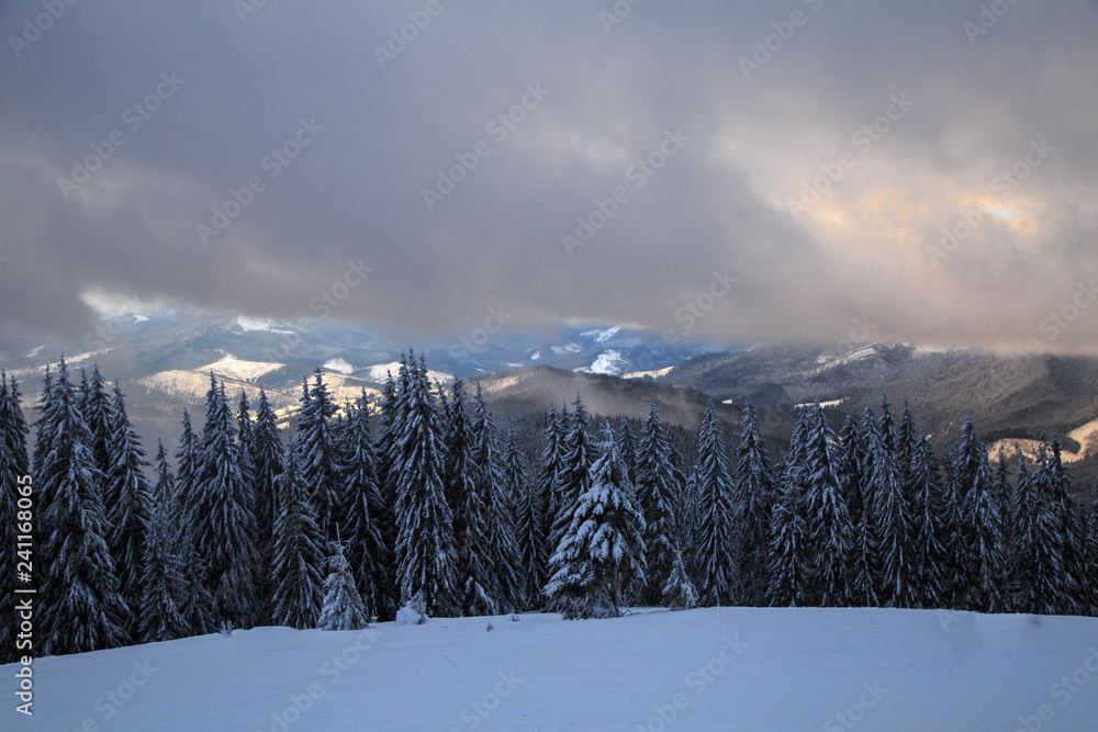 Winter landscape in the Carpathian mountains.