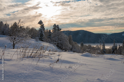 Mountain winter, Christmas landscape