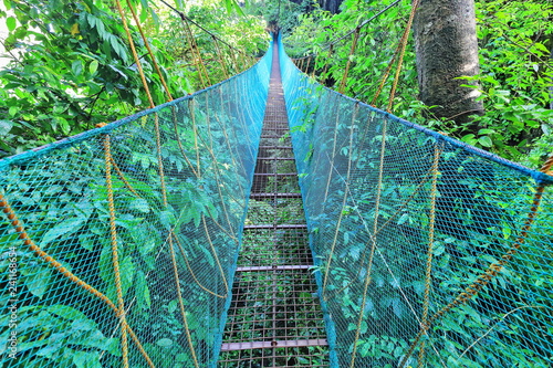 Hanging bridge on the El Nido Canopy Walk-Via Ferrata. Palawan-Philippines-0910 photo