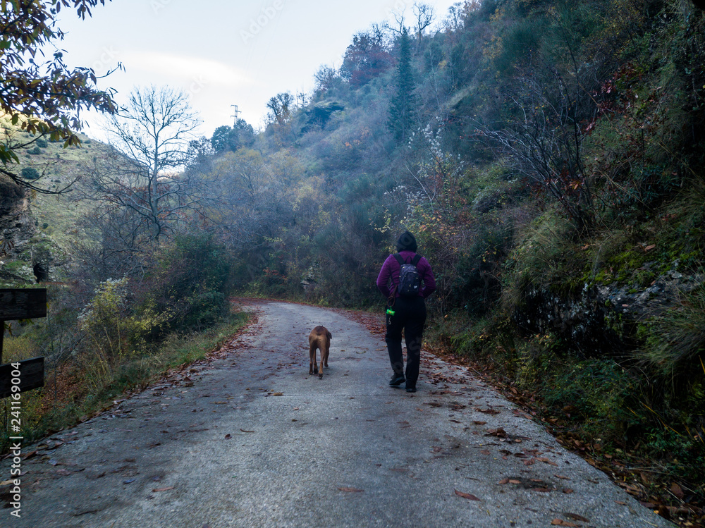 Fototapeta premium Hiker on the Mountain with a Boxer Dog