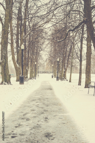 Snowy Pathway