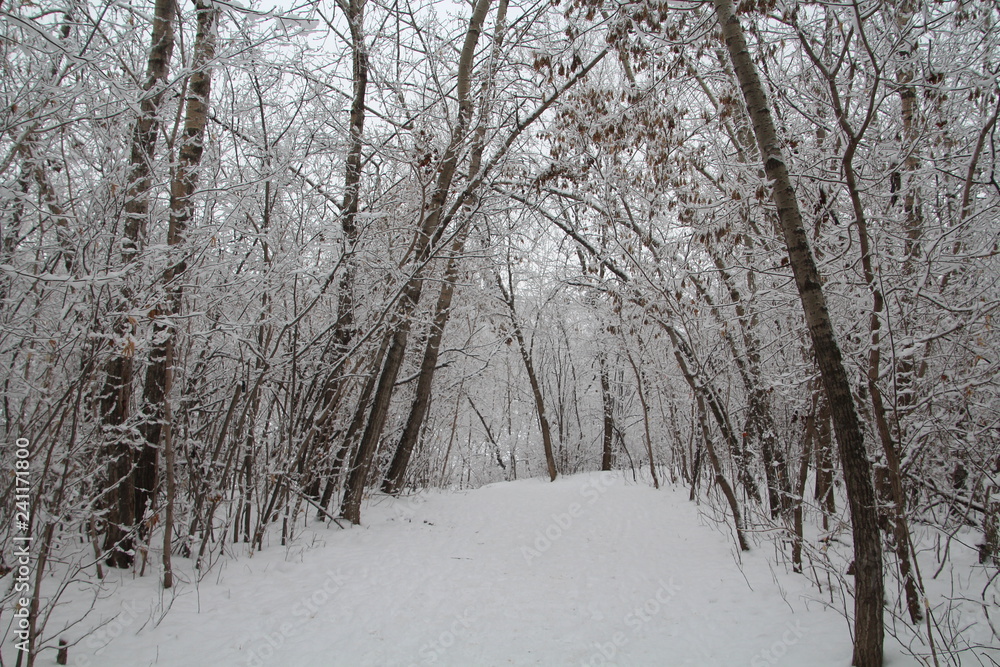 Down The Frosty Trail, Gold Bar Park, Edmonton, Alberta Down The Frosty Trail, Gold Bar Park, Edmonton, Alberta