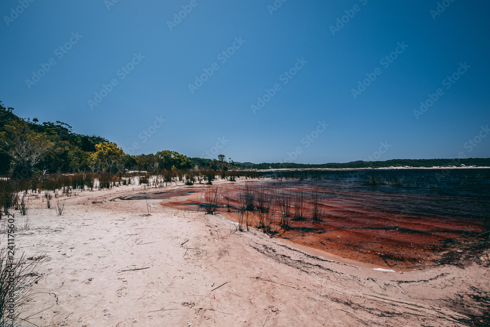 Lake Boomanjin on Fraser Island on a sunny day. The lake is red from the tea tree oil