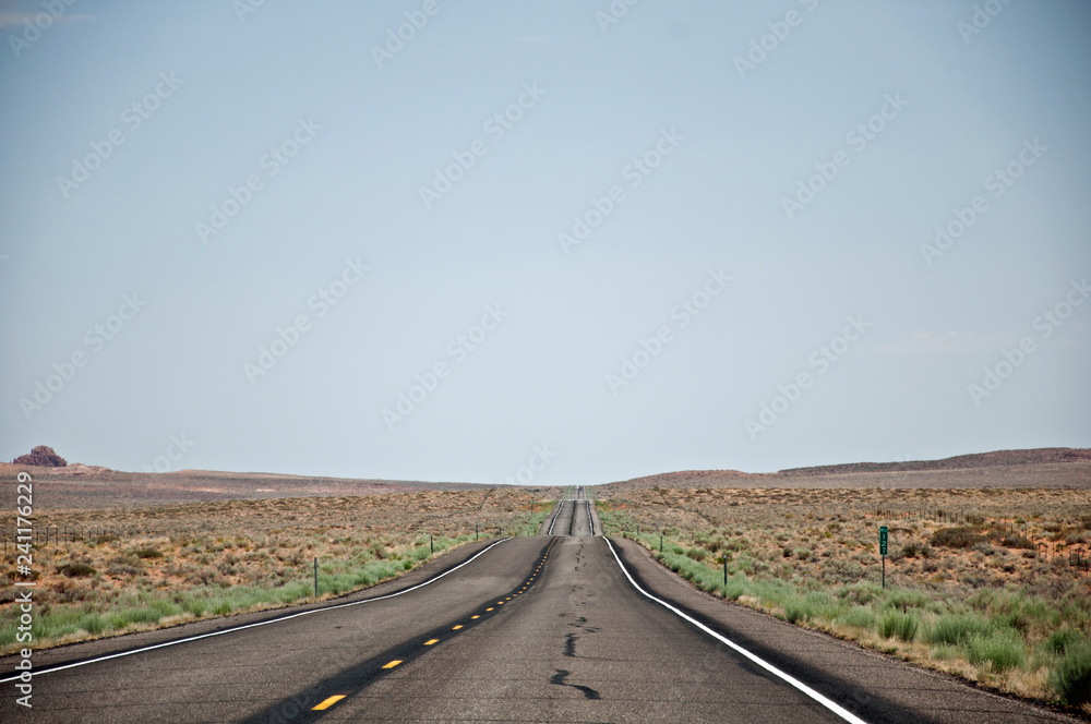 Straight road to the horizont in American desert