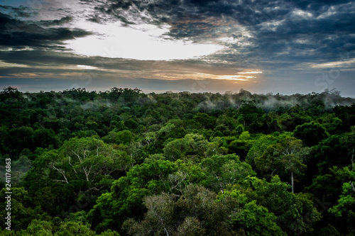 Cities of Brazil - Manaus, Amazonas - Views from MUSA (Amazonian Museum)