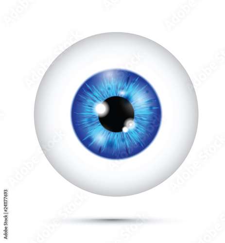 realistic eyeball