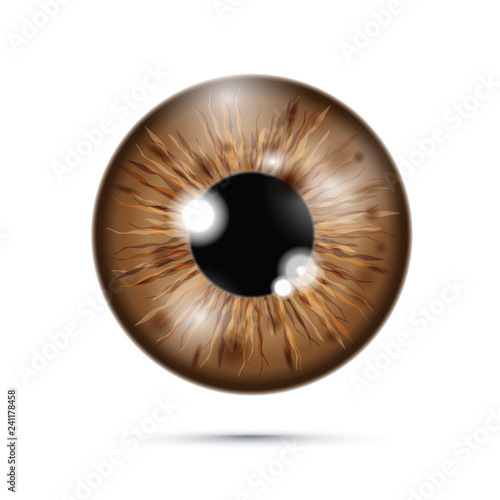 brown realistic eyeball