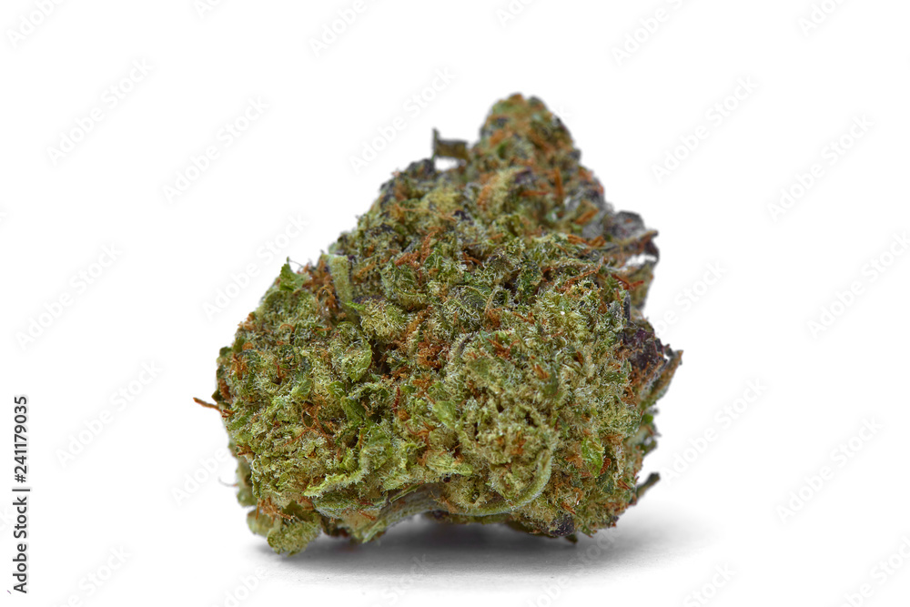 Close up of Kush OG prescription medical marijuana and recreational weed hybrid strain sticky flower bud isolated on a white background Close up of Kush OG prescription medical marijuana and recreational weed hybrid strain sticky flower bud isolated on a white background