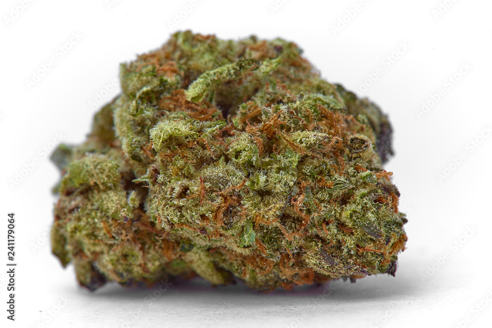 Close up of Kush OG prescription medical marijuana and recreational weed hybrid strain sticky flower bud isolated on a white background Close up of Kush OG prescription medical marijuana and recreational weed hybrid strain sticky flower bud isolated on a white background