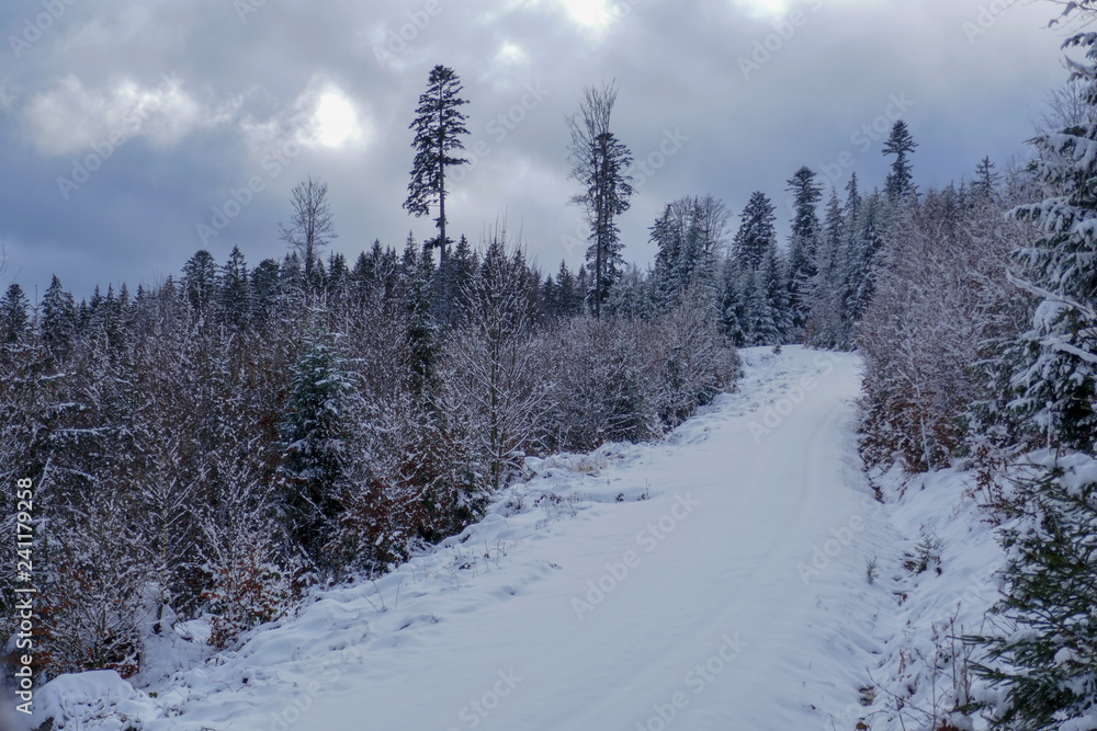 Fototapeta premium 2018-12 Winterurlaub