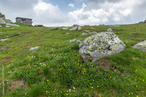 Landscape of Vitosha Mountain from Cherni Vrah Peak, Sofia City Region, Bulgaria
