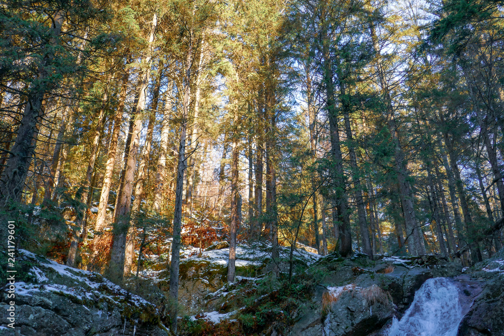 Obraz premium 2018-12 Winterurlaub