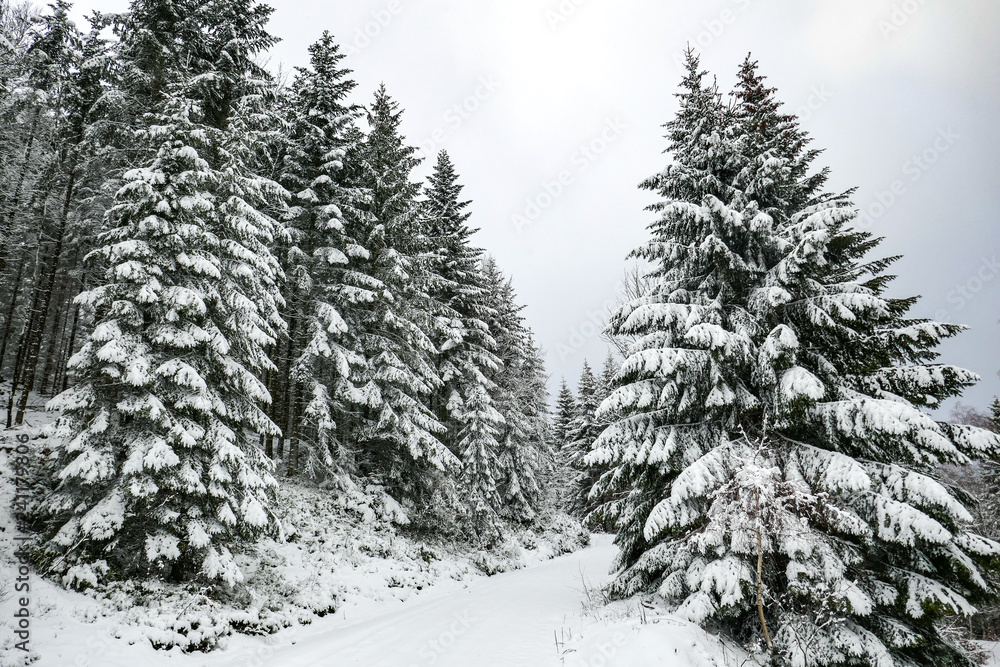 Fototapeta premium 2018-12 Winterurlaub
