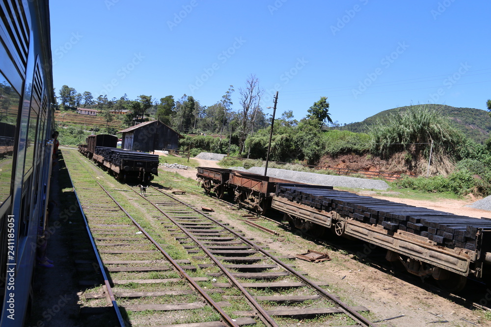 Obraz premium Train in Sri Lanka