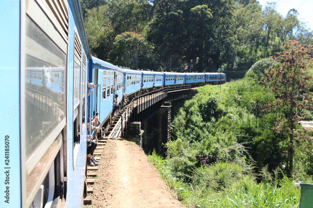 Obraz premium Train in Sri Lanka