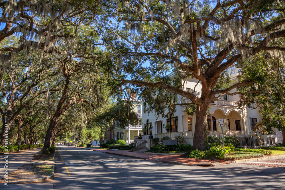 Beautiful street view in the city during a vibrant sunny day. Taken near Forsyth Park, Savannah, Georgia, United States.