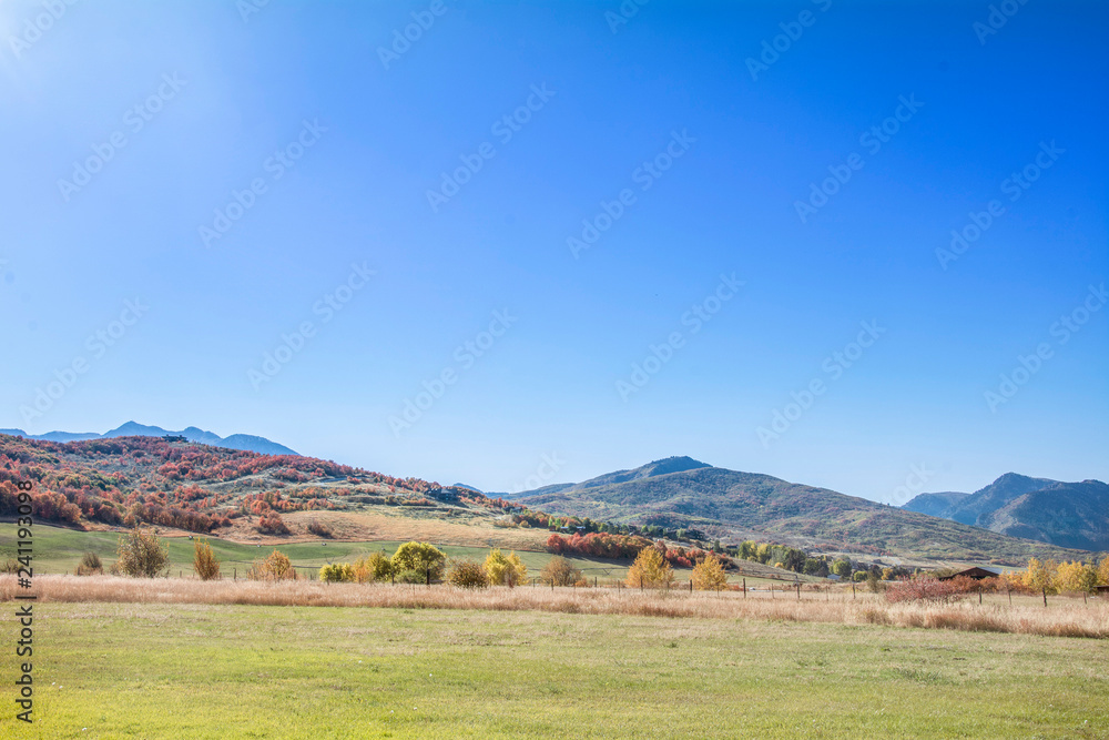 utah mountain range with autumn leaves in the fall season 