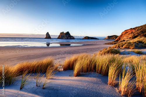 Morning sunrise with bushes and grass at Wharariki Beach New Zealand