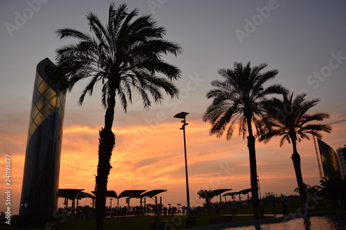 Amaxing sunset thrue the Palm trees 