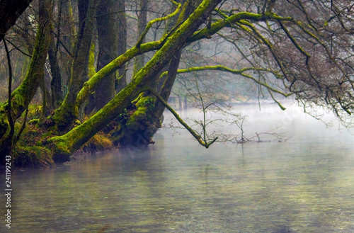 Vrelo Bosne, Sarajevo, Bosnia and Herzegovina photo