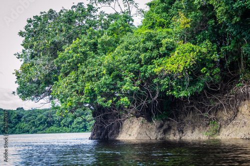 Cities of Brazil - Novo Airao  Amazonas - Anavilhanas National Park