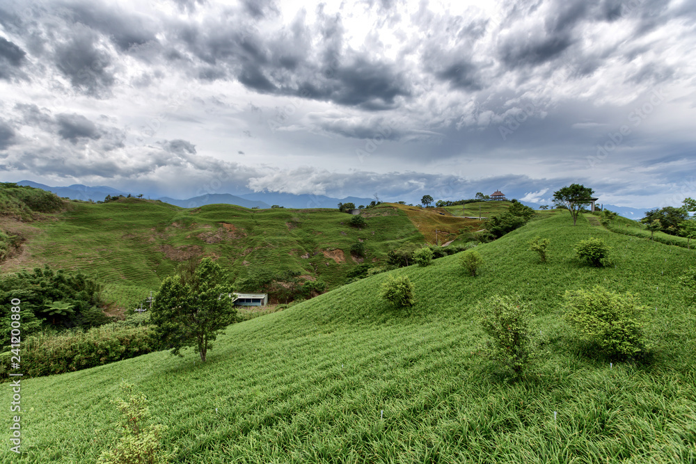 A countryside landscape with rolling hills. It is undulating rising and falling. The scenery is spectacular. There are trees, mountain ranges, and dramatic clouds.