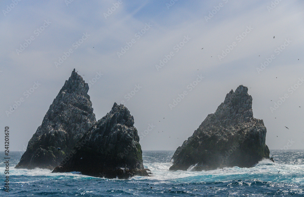The Shag Rocks are six small, uninhabited, islands on the most western part of South Georgia. They are named after the South Georgian Imperial Shags, a sub-species of Comorants.